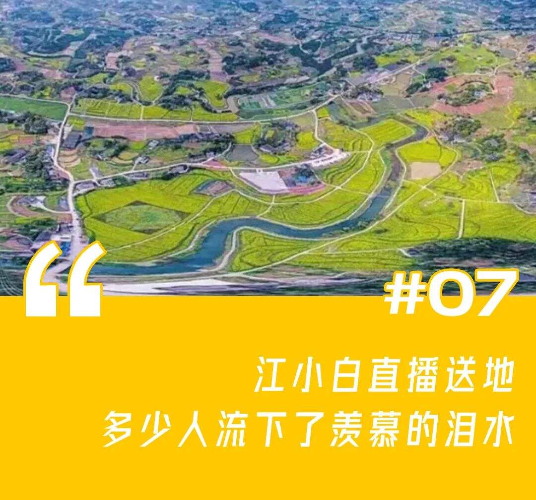 一周案例：雷克萨斯请小熊拍广告、江小白连发100条声明、美团外卖换Logo-广告人干货库