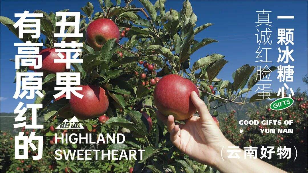 广告人干货库 注意这些细节,农产品包装也能很吸睛!-广告人干货库