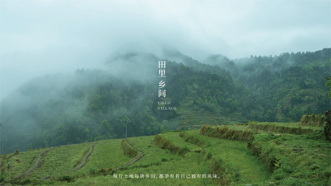 广告人干货库 注意这些细节,农产品包装也能很吸睛!-广告人干货库