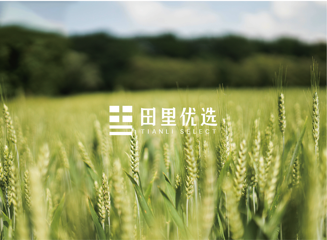 广告人干货库 注意这些细节,农产品包装也能很吸睛!-广告人干货库