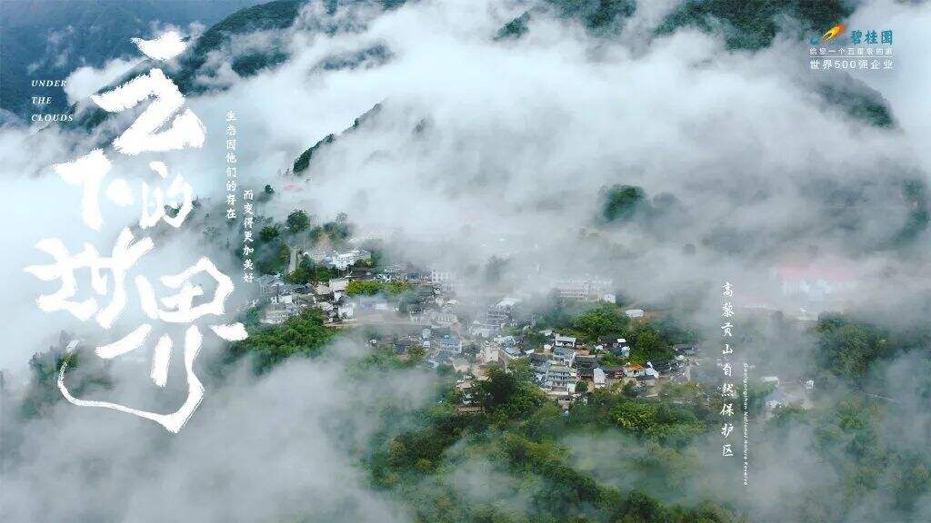 广告人干货库 碧桂园新海报,野得很太有内味了!!!-广告人干货库