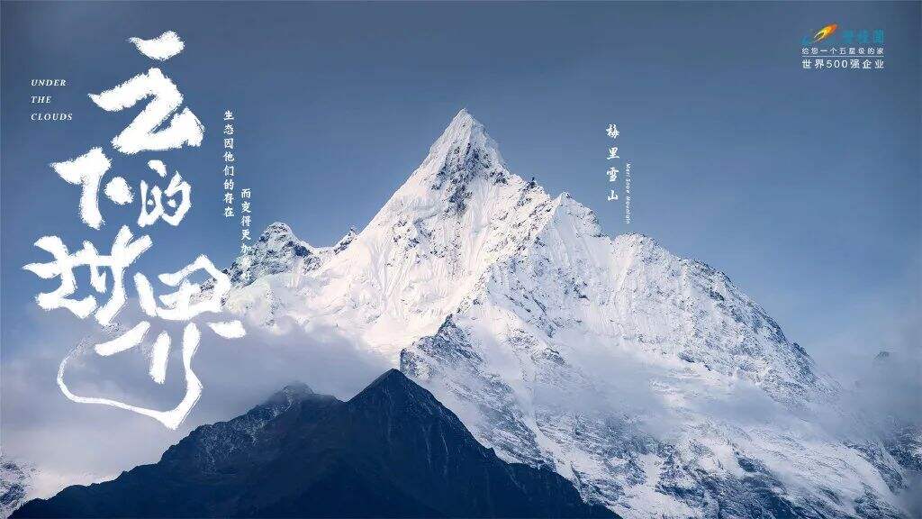 广告人干货库 碧桂园新海报,野得很太有内味了!!!-广告人干货库