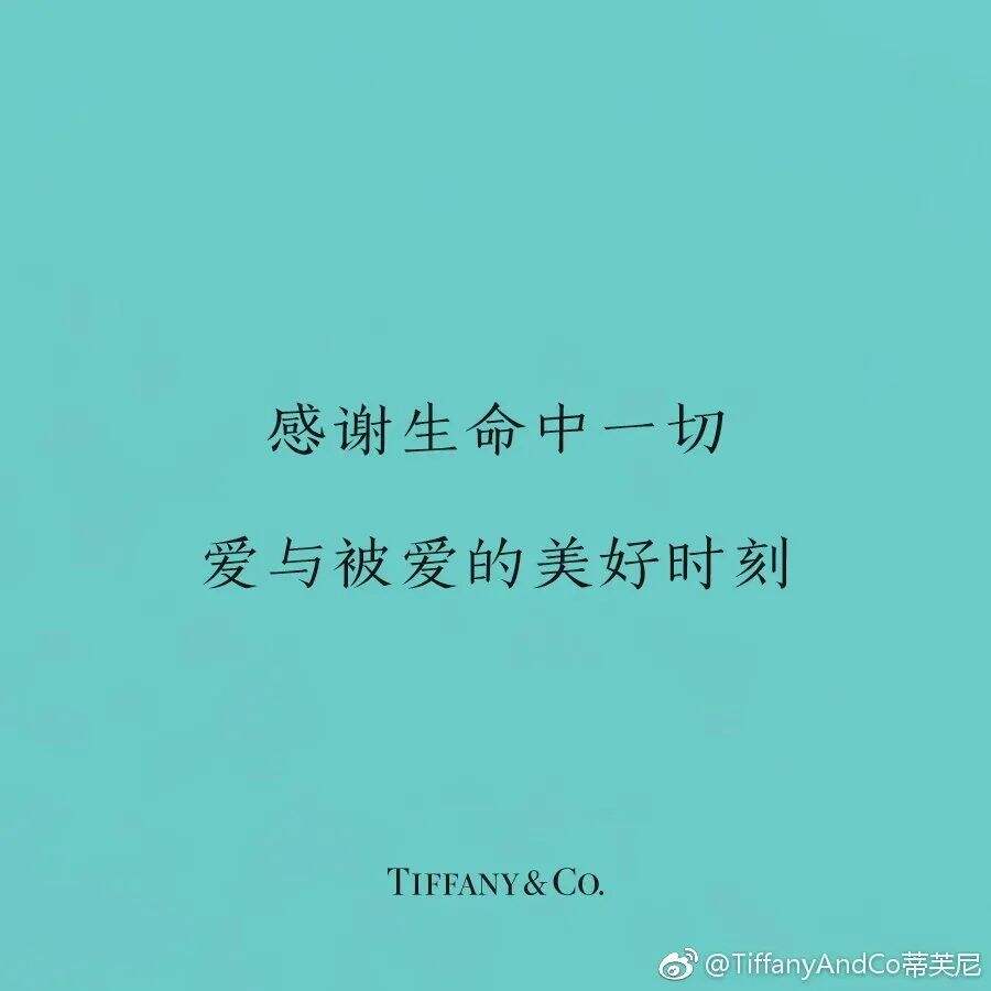 广告人干货库 感恩节品牌海报文案合集-广告人干货库