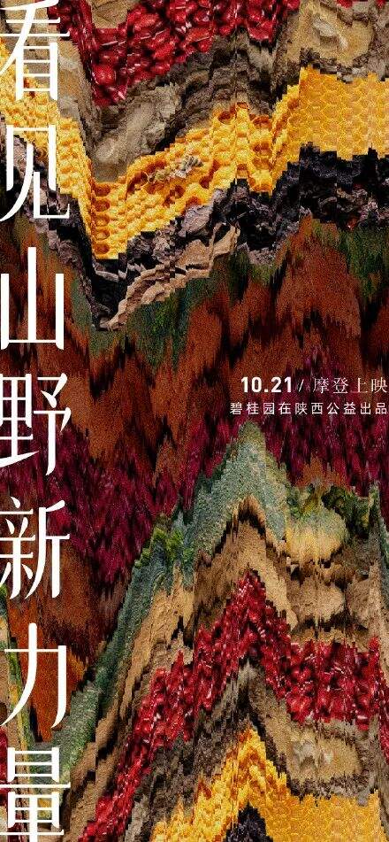 广告人干货库 碧桂园新海报,野得很太有内味了!!!-广告人干货库