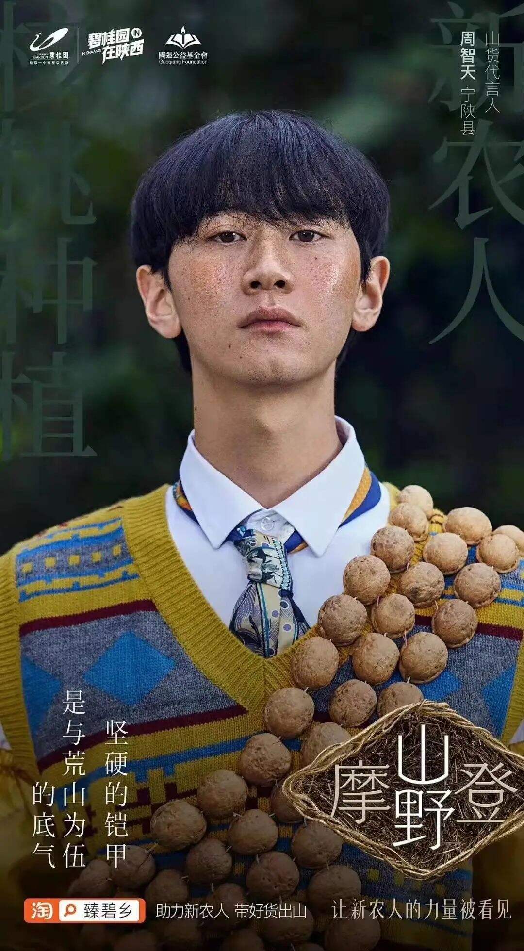 广告人干货库 碧桂园新海报,野得很太有内味了!!!-广告人干货库