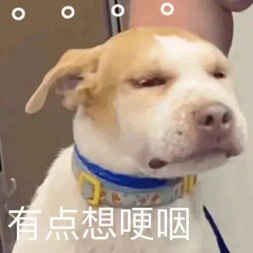 广告人干货库 40句成年人的文案“如果坐牢有平替,那就是上班 ”-广告人干货库