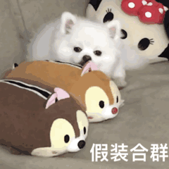 广告人干货库 40句成年人的文案“如果坐牢有平替,那就是上班 ”-广告人干货库