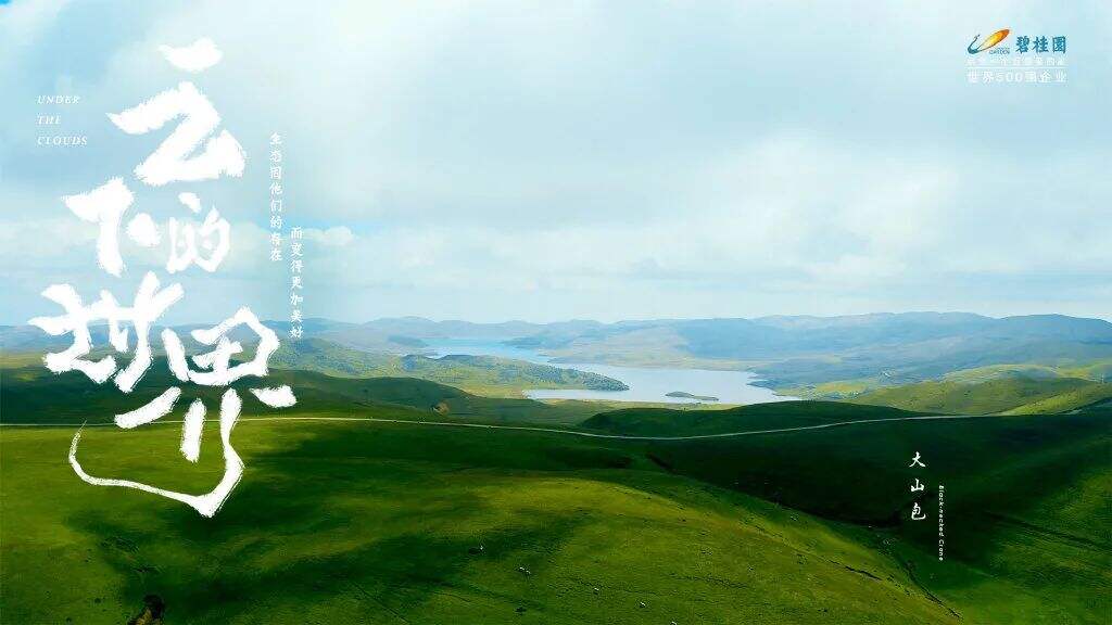 广告人干货库 碧桂园新海报,野得很太有内味了!!!-广告人干货库