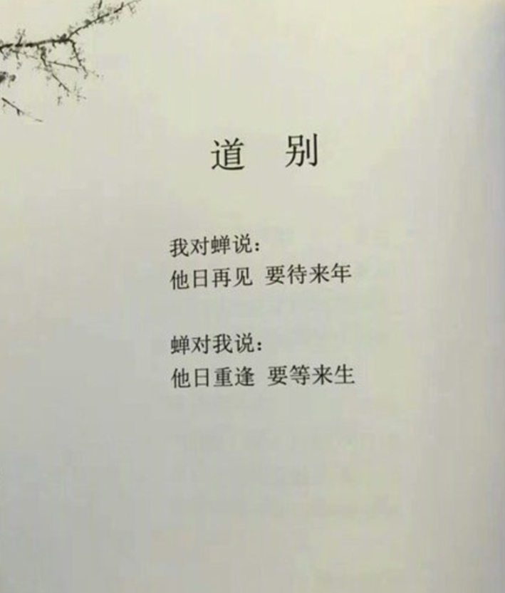 广告人干货库 15句温柔又文艺的文案-广告人干货库