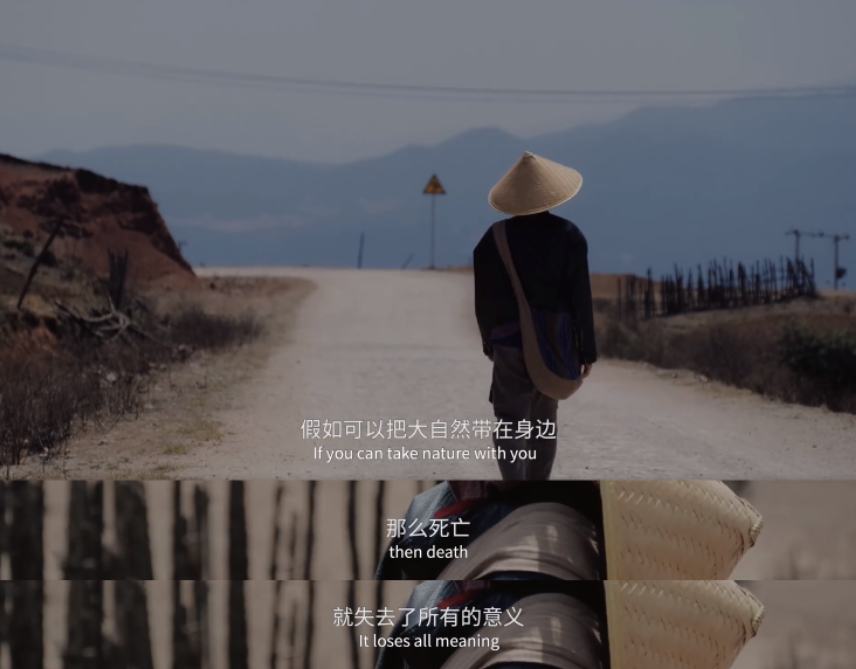 广告人干货库 盘点2021最戳人心的营销案例,值得每个品牌进来抄作业!-广告人干货库