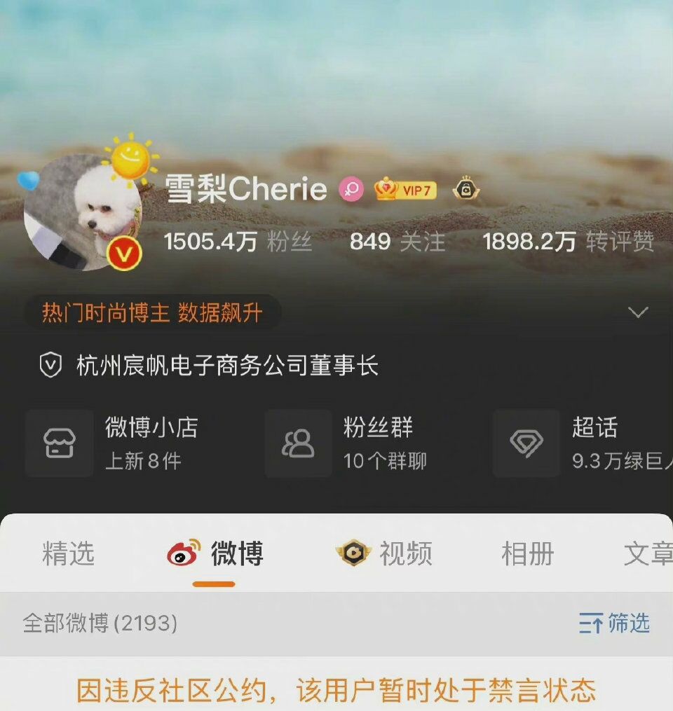 网红主播雪梨、林珊珊微博被封禁 两人因偷逃税被罚-广告人干货库