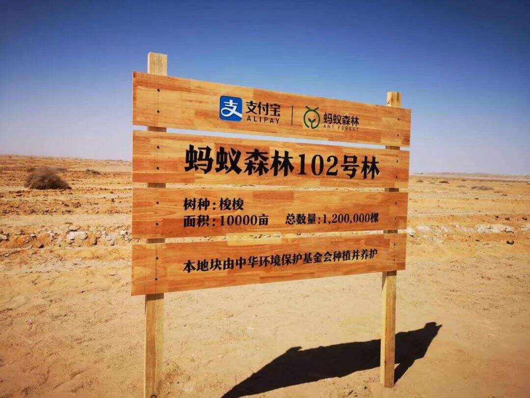 广告人干货库 公益营销的策略与方法-广告人干货库