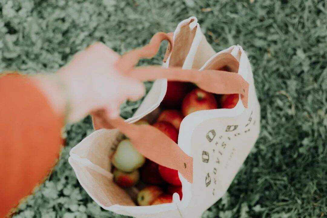 广告人干货库 万字研读 | 美妆护肤赛道,品牌究竟如何做「绿」?-广告人干货库