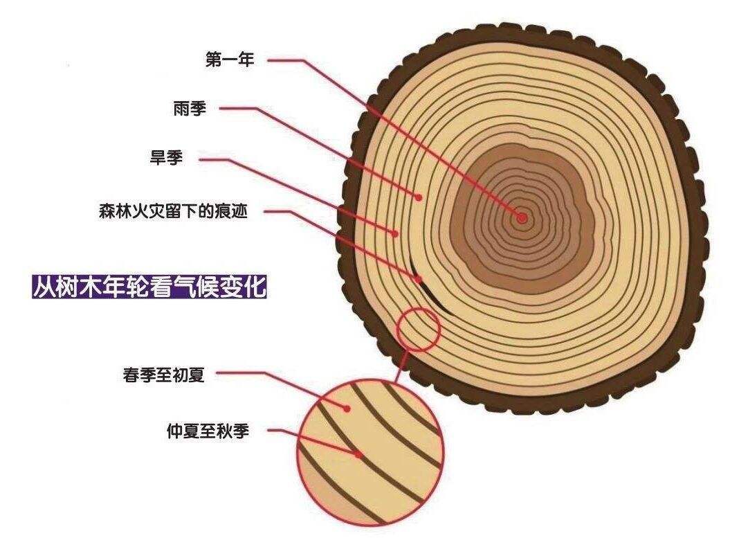 广告人干货库