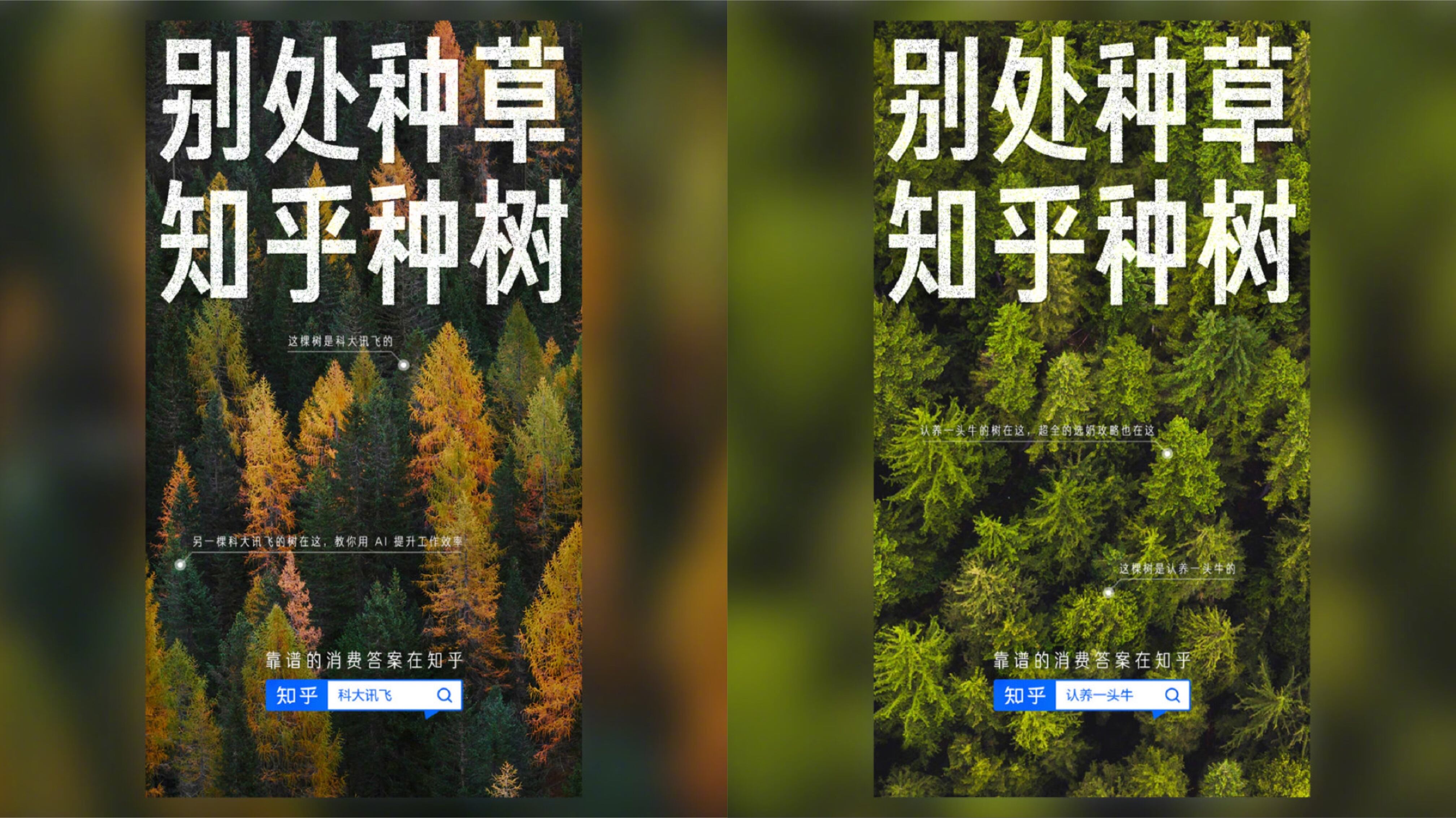 广告人干货库 知乎与品牌一起种树-广告人干货库