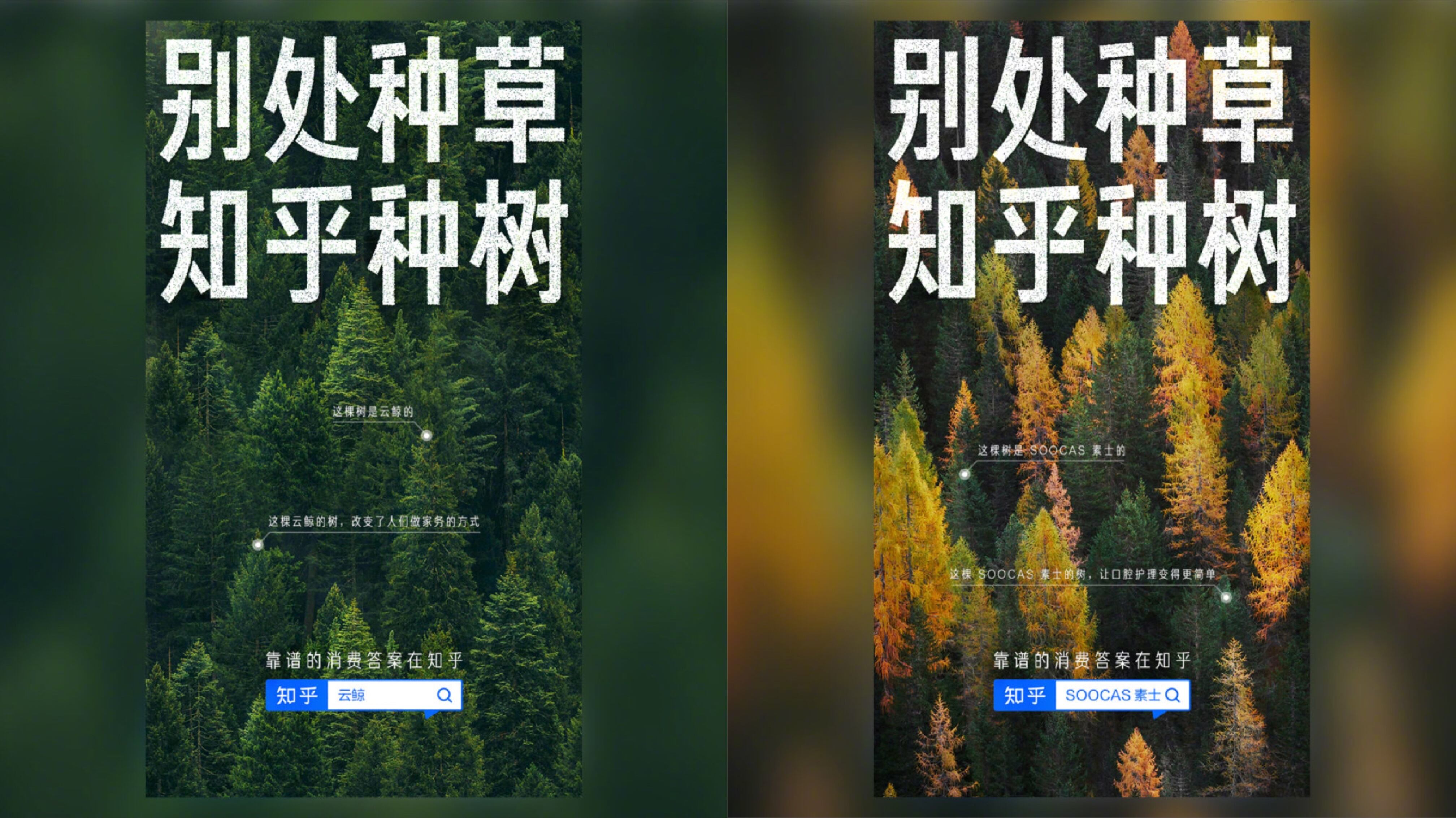 广告人干货库 知乎与品牌一起种树-广告人干货库