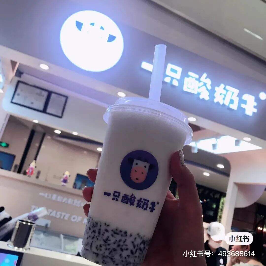 广告人干货库 全国地方奶茶品牌地图-广告人干货库