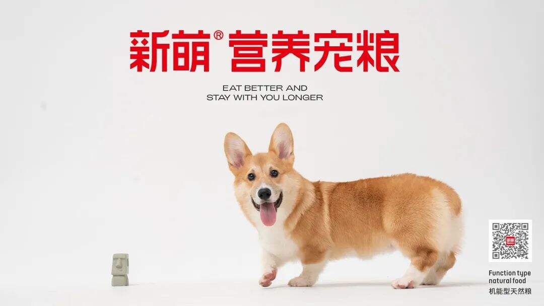 广告人干货库 新国货当道,这些新锐宠物粮的包装设计也越来越有范儿了!-广告人干货库
