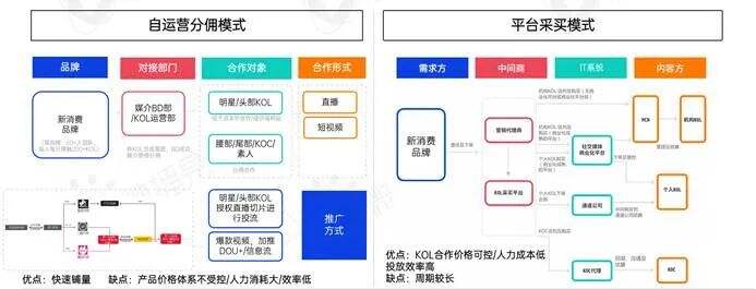 广告人干货库 新消费品牌KOL营销的六大成功定律-广告人干货库