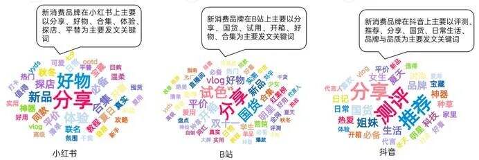 广告人干货库 新消费品牌KOL营销的六大成功定律-广告人干货库