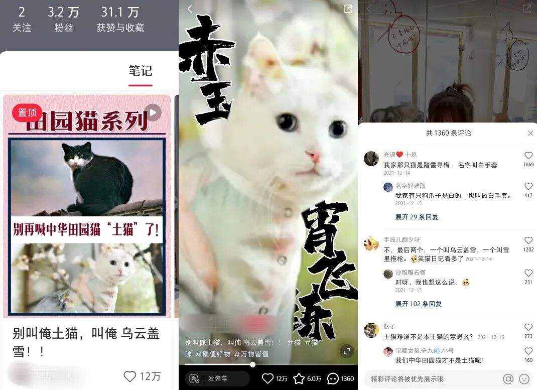 广告人干货库 小红书运营:1年拆解5000篇爆文,换来一套流量密码(1月版)-广告人干货库