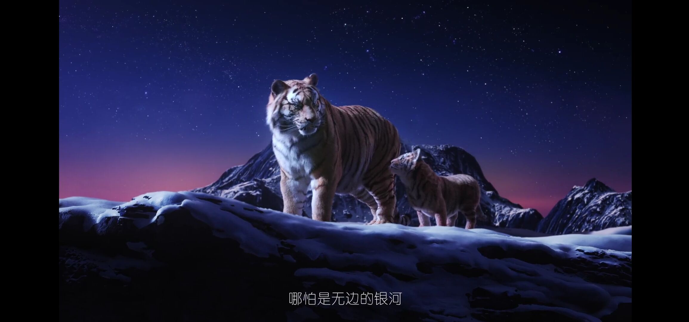 广告人干货库 春节创意大比拼,谁的短片更吸睛?-广告人干货库