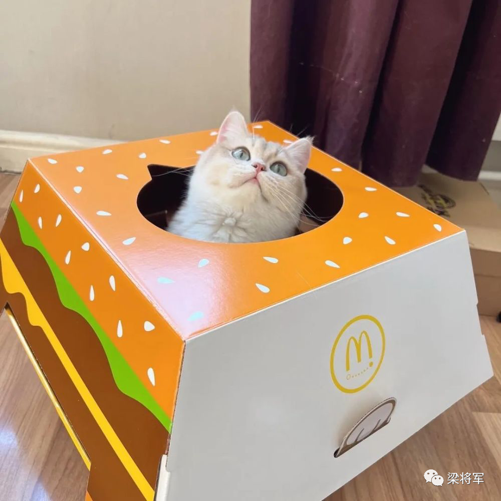 广告人干货库 墩式营销:如何让你的新品像冰墩墩一样火?-广告人干货库