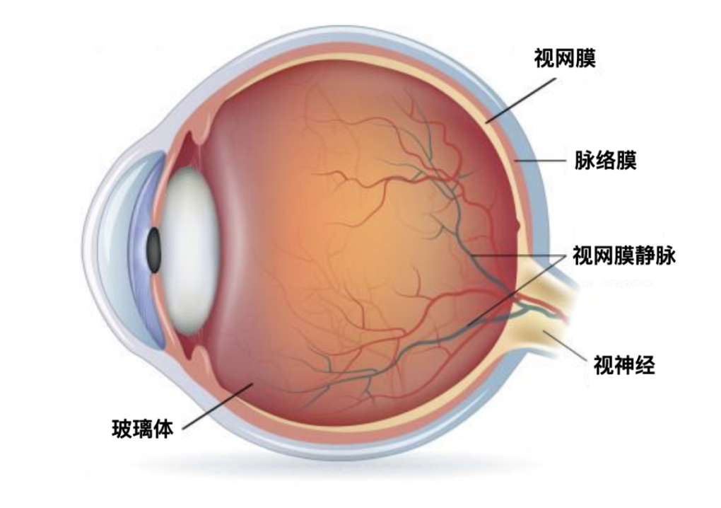 广告人干货库