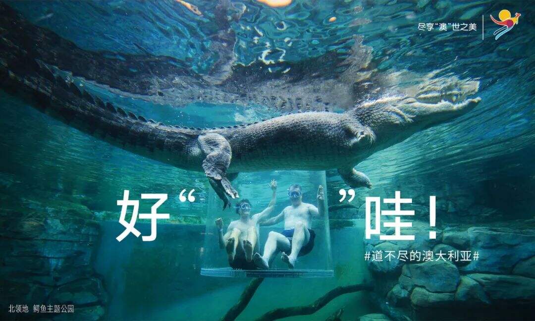 广告人干货库 广告人干货库