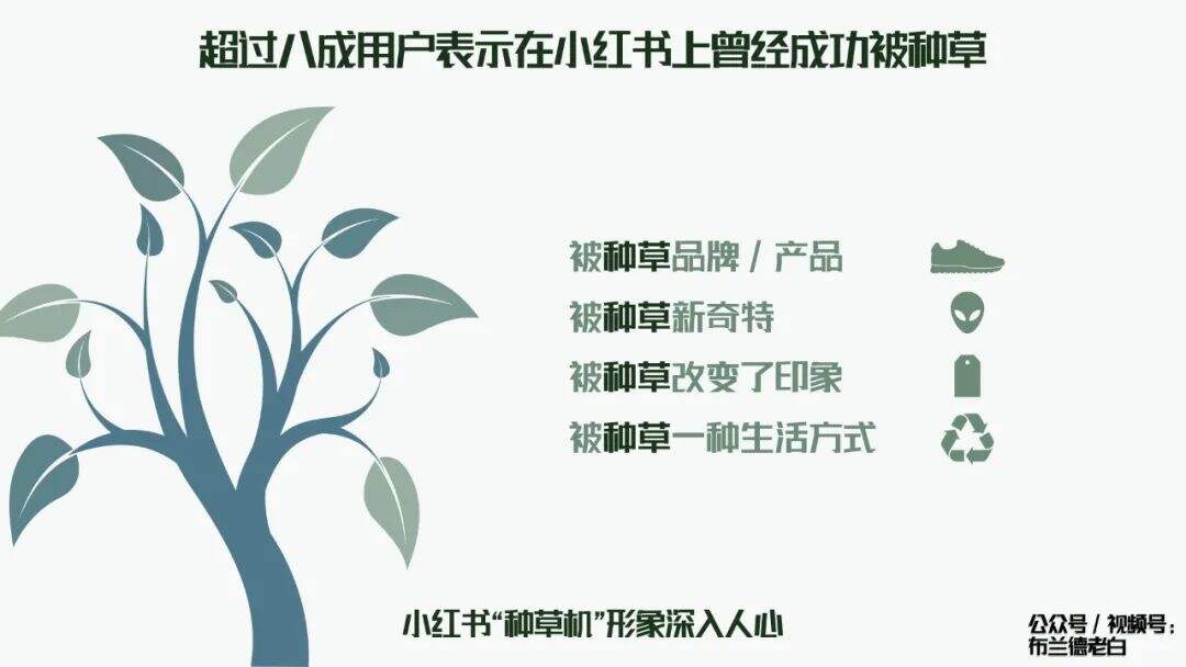 广告人干货库 全域增长 | 万字梳理品牌小红书种草割草指南-广告人干货库