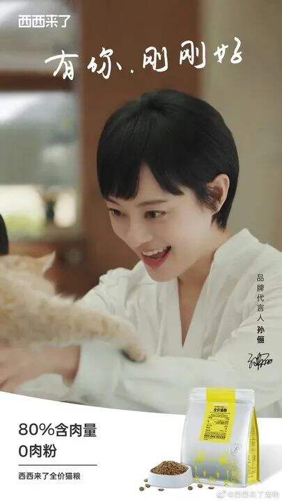 孙俪代言西西来了-广告人干货库
