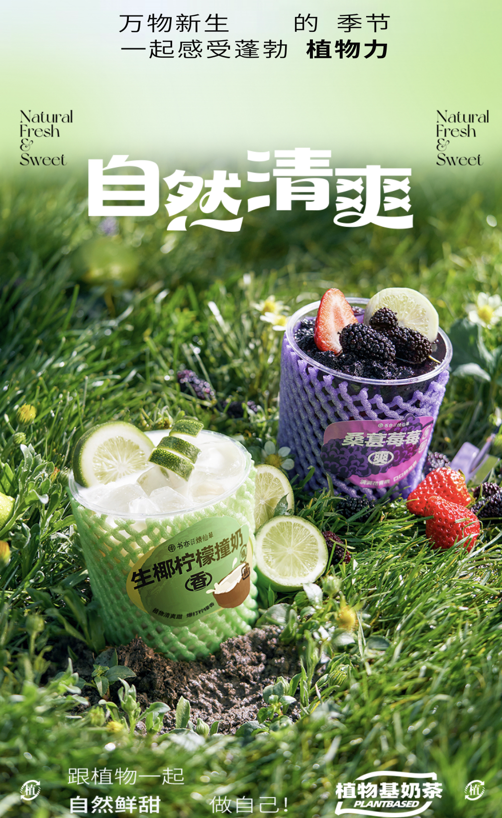 书亦烧仙草推出两款植物基奶茶产品-广告人干货库