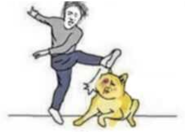 广告人干货库