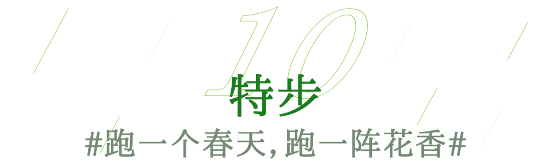 广告人干货库 疫情下的春天,被这些品牌的春日营销治愈-广告人干货库