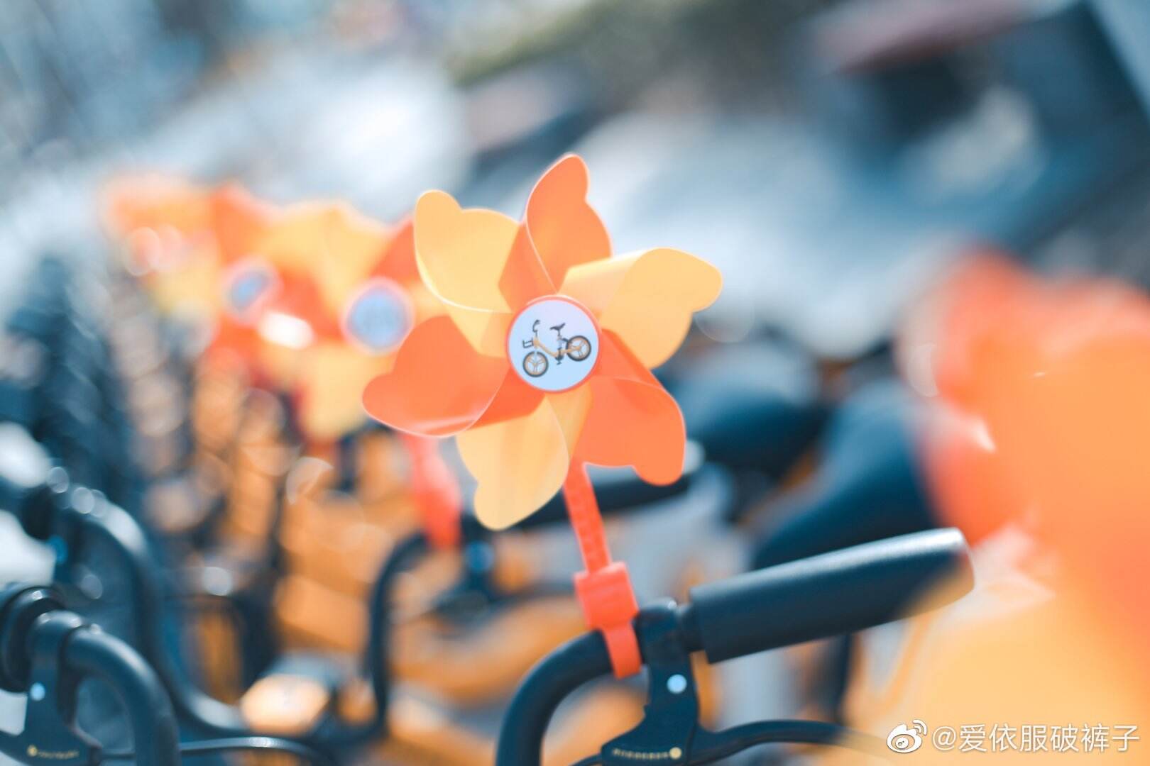 美团单车带你春日兜风-广告人干货库