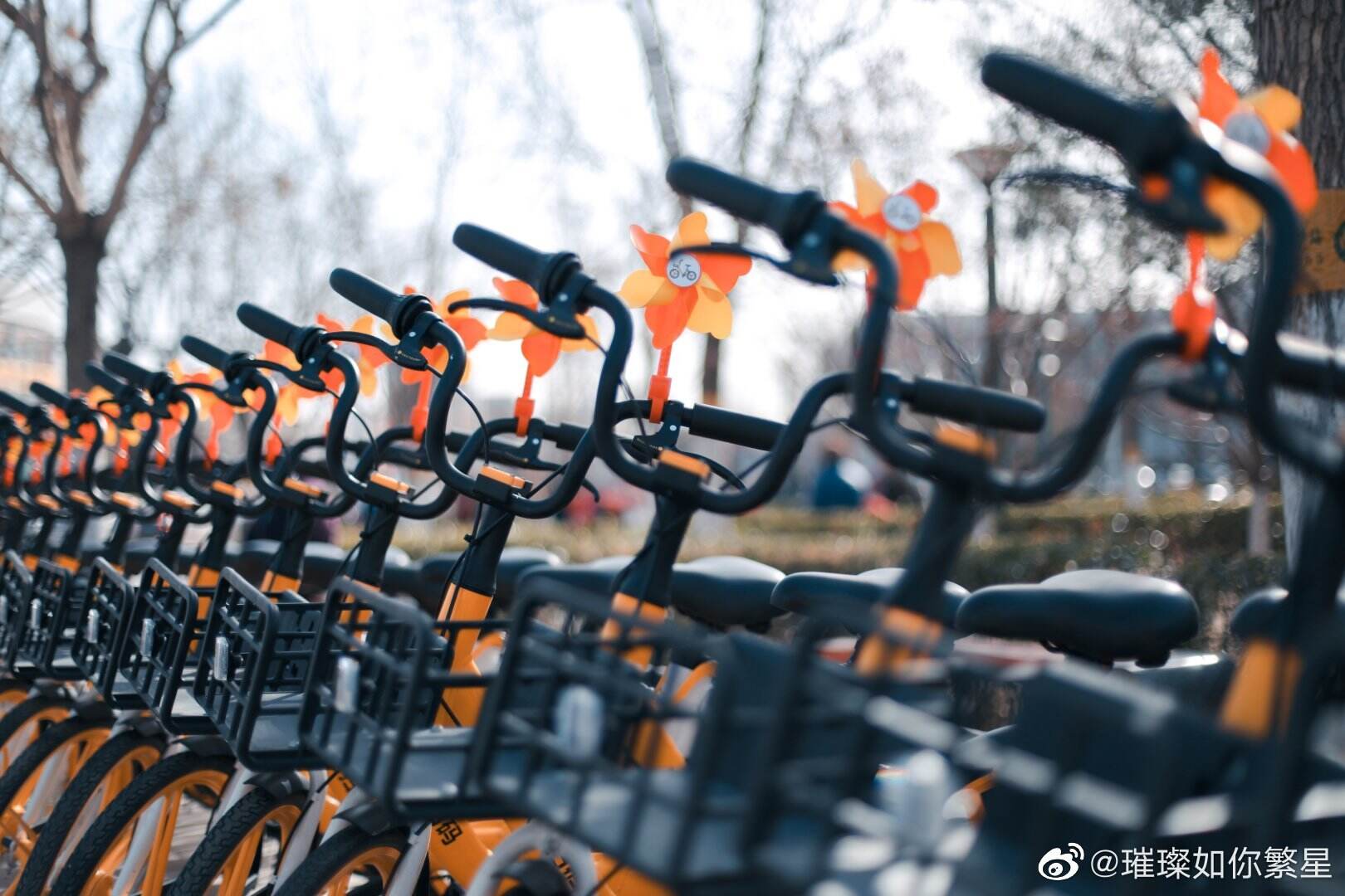 美团单车带你春日兜风-广告人干货库