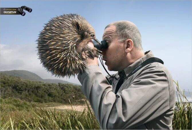 广告人干货库