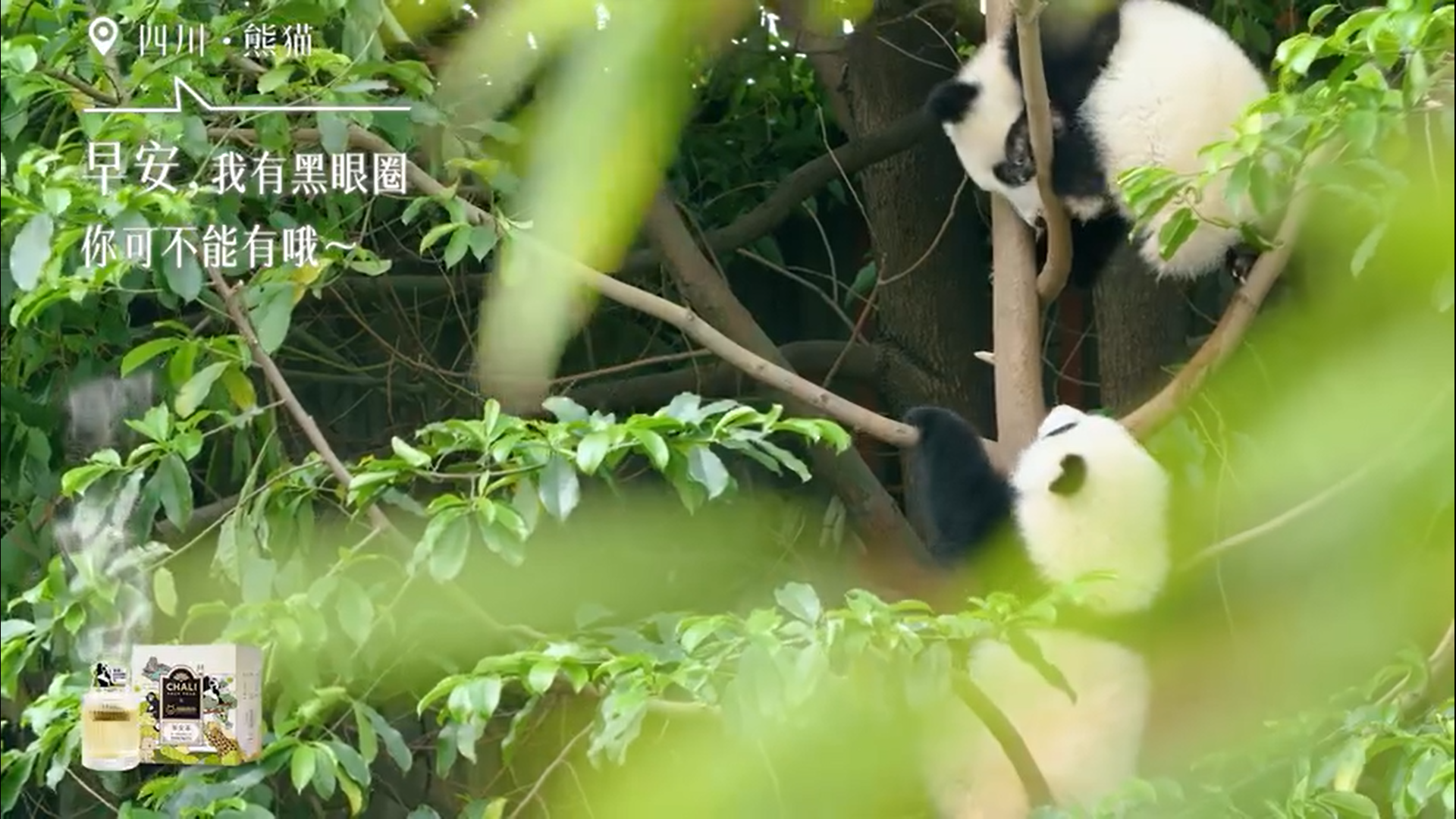 广告人干货库 广告人干货库