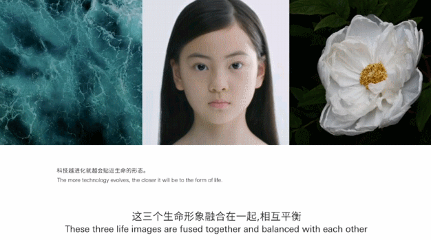 广告人干货库