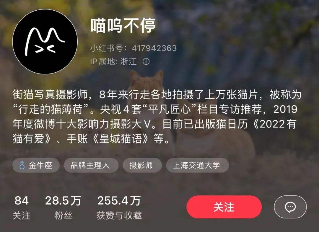 广告人干货库 小红书个人博主如何快速涨粉?(案例拆解)-广告人干货库