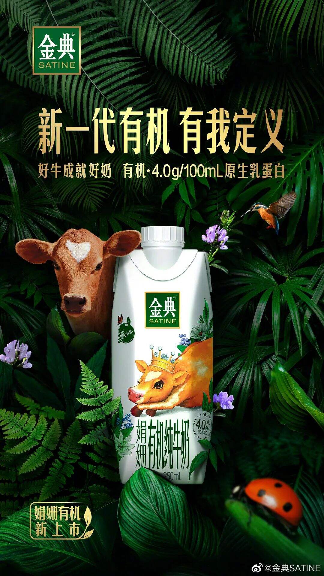 广告人干货库 安慕希、金典也出环保包装了?极简设计引领新潮!-广告人干货库