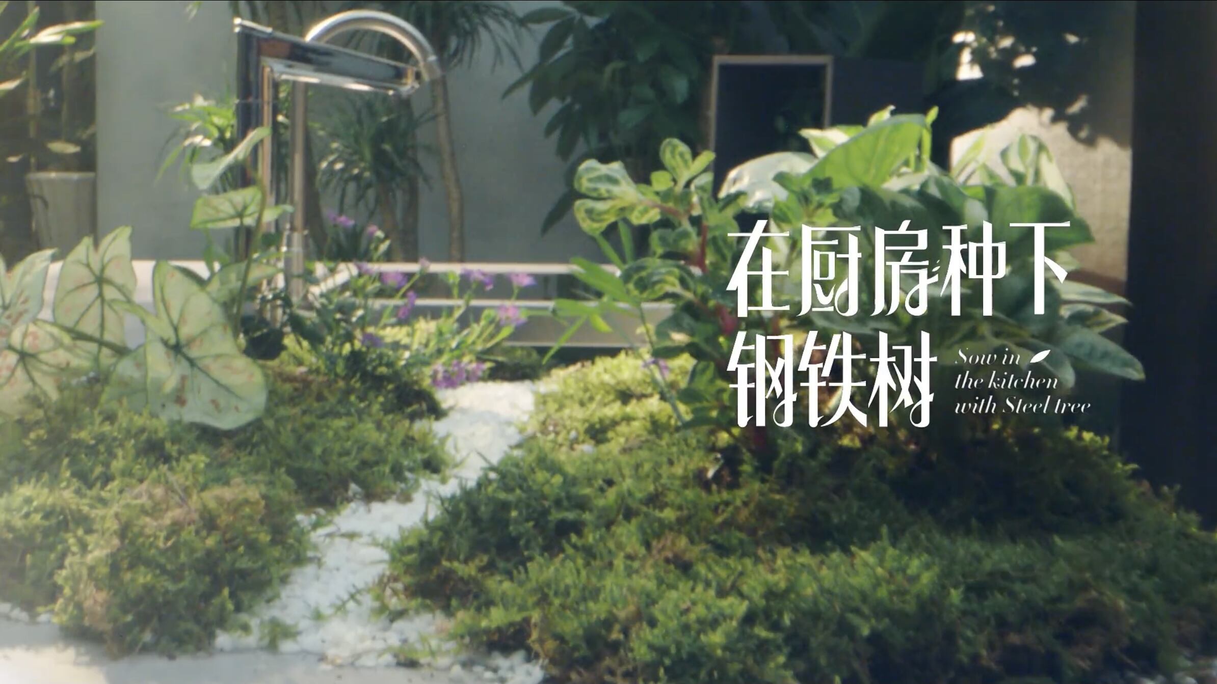 广告人干货库