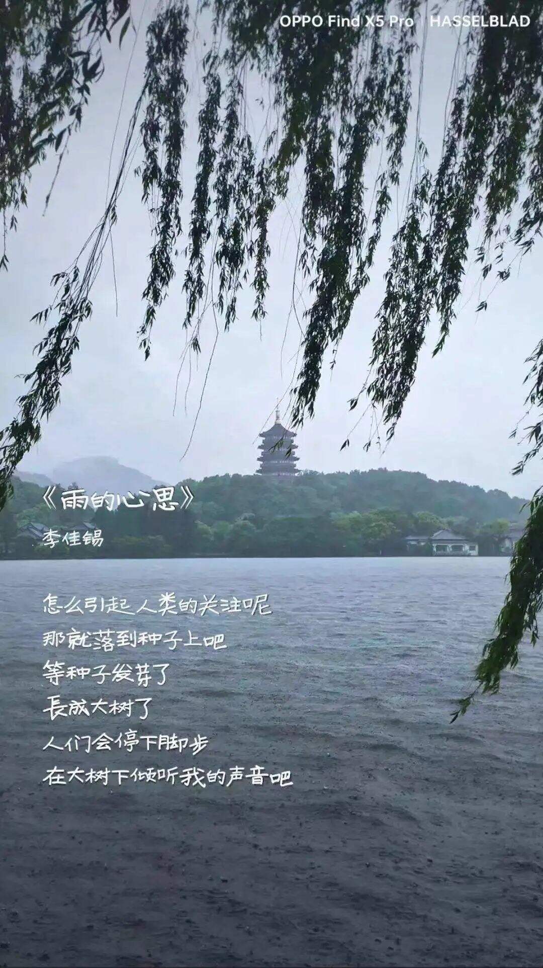 广告人干货库 2022上半年,被这15张海报圈粉了-广告人干货库