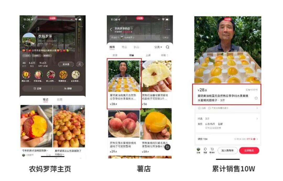 广告人干货库 小红书博主如何变现?快看这5种小红书变现方式!-广告人干货库