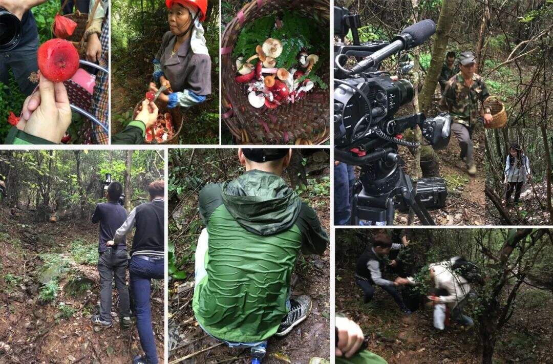 华与华500万品牌5年管理大奖赛参赛案例,莆田餐厅7年合作总结!-广告人干货库