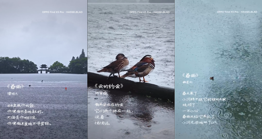 广告人干货库 让人“颅内高潮”的ASMR广告,真让人把持不住-广告人干货库