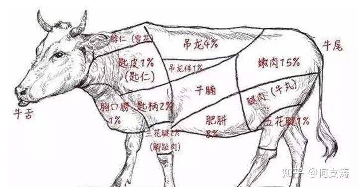 广告人干货库 顶级策划人的五大思维能力-广告人干货库