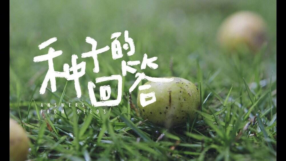 广告人干货库 天与空:农行 × 银联倾听「种子的回答」-广告人干货库