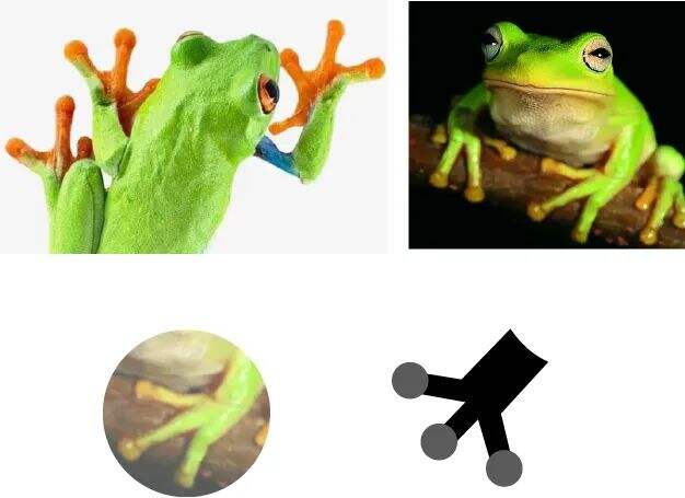 广告人干货库 广告人干货库