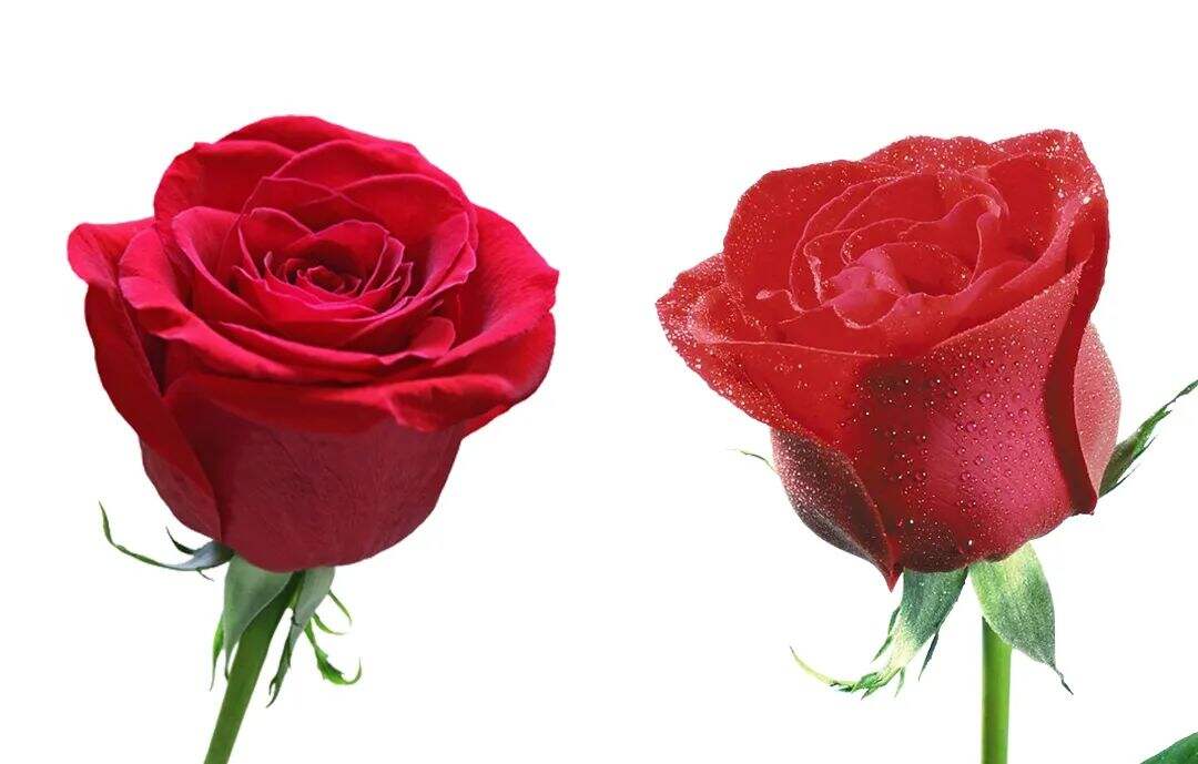 广告人干货库 七夕海报设计如何不落俗套?-广告人干货库